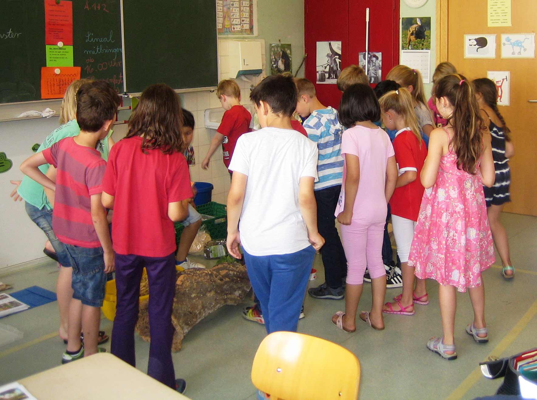 Freihof-Grundschule